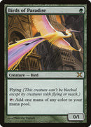 Birds of Paradise [Tenth Edition] - Destination Retro