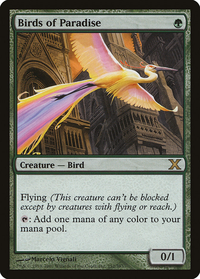 Birds of Paradise [Tenth Edition] - Destination Retro