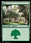 Forest (350) [Starter Commander Decks] - Destination Retro