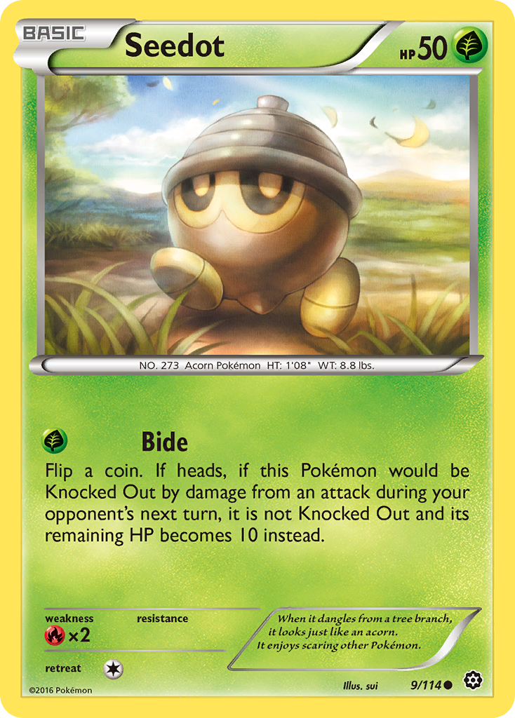 Seedot (9/114) [XY: Steam Siege] - Destination Retro