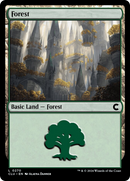 Forest (0270) [Ravnica: Clue Edition] - Destination Retro