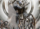 Shaile, Dean of Radiance Art Card [Strixhaven: School of Mages Art Series] - Destination Retro