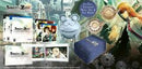 Steins Gate [El Psy Kongroo Edition] - Playstation 3 - Destination Retro