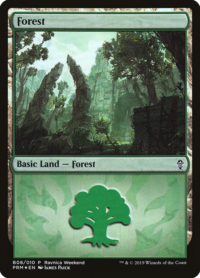 Forest (B08) [Ravnica Allegiance Guild Kit] - Destination Retro
