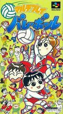 Multi Play Volleyball - Super Famicom - Destination Retro