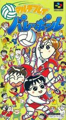 Multi Play Volleyball - Super Famicom - Destination Retro
