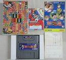 SameGame - Super Famicom - Destination Retro