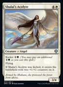 Shalai's Acolyte [Dominaria United] - Destination Retro