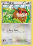 Patrat (17/30) [XY: Trainer Kit - Bisharp & Wigglytuff] - Destination Retro