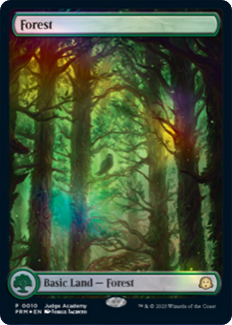 Forest [Judge Gift Cards 2023] - Destination Retro