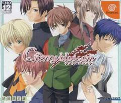 Cherry Blossom - JP Sega Dreamcast - Destination Retro