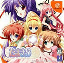 Tamakyuu - JP Sega Dreamcast - Destination Retro