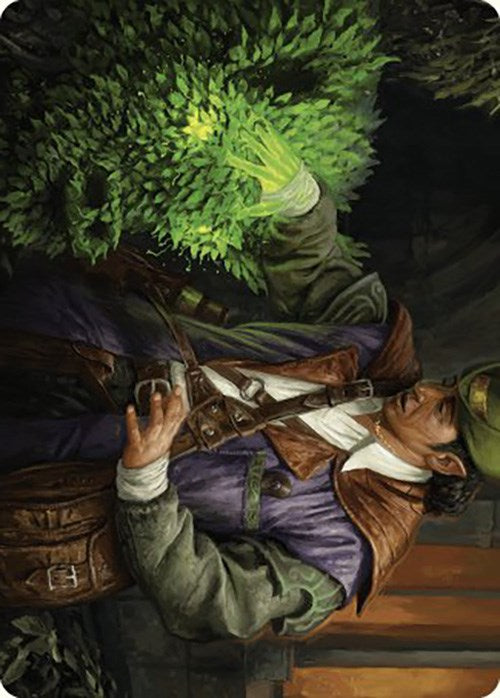 Hedge Whisperer Art Card [Murders at Karlov Manor Art Series] - Destination Retro