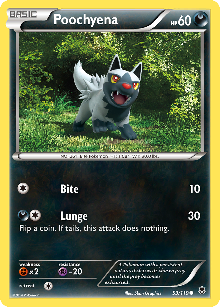 Poochyena (53/119) [XY: Phantom Forces] - Destination Retro