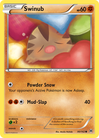 Swinub (80/162) [XY: BREAKthrough] - Destination Retro