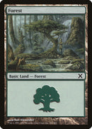Forest (382) [Tenth Edition] - Destination Retro