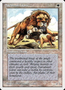 Savannah Lions [Summer Magic / Edgar] - Destination Retro