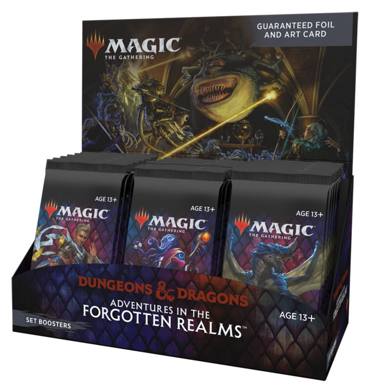 MTG - DUNGEONS & DRAGONS: ADVENTURES IN THE FORGOTTEN REALMS - SET BOOSTER BOX - Destination Retro