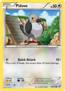Pidove (84/114) [Black & White: Base Set] - Destination Retro