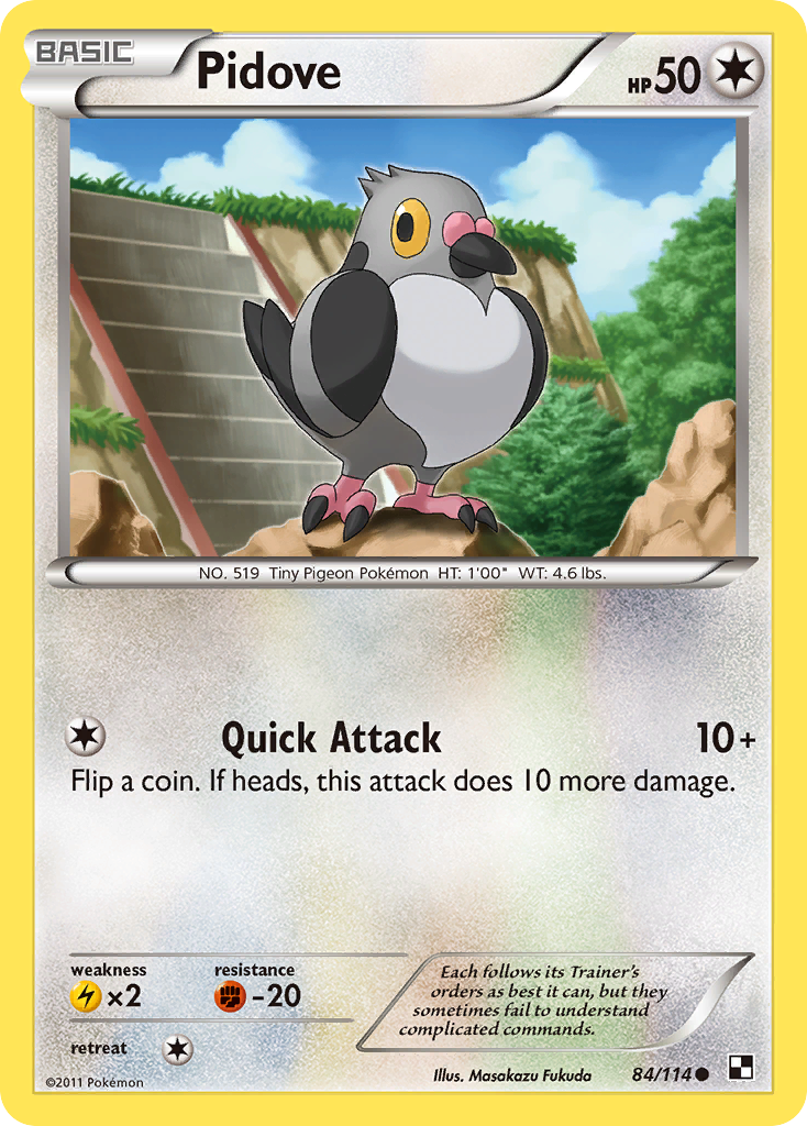Pidove (84/114) [Black & White: Base Set] - Destination Retro