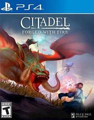 Citadel: Forged with Fire - Playstation 4 - Destination Retro