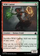 Wild Cantor [Ravnica Remastered] - Destination Retro