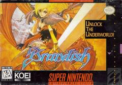 Brandish - Super Nintendo - Destination Retro