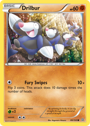Drilbur (89/160) [XY: Primal Clash] - Destination Retro
