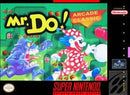 Mr. Do! - Super Nintendo - Destination Retro