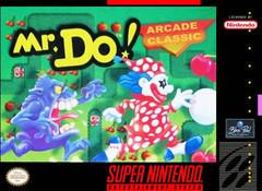 Mr. Do! - Super Nintendo - Destination Retro