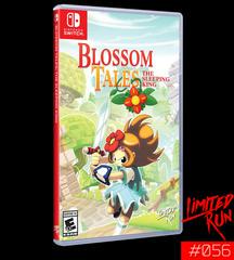 Blossom Tales: The Sleeping King - Nintendo Switch - Destination Retro