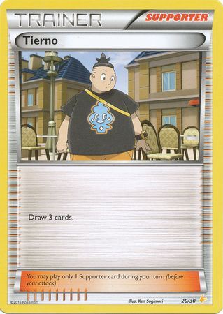Tierno (20/30) [XY: Trainer Kit - Pikachu Libre & Suicune] - Destination Retro