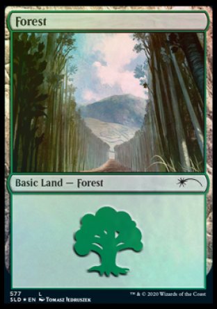 Forest (Walls) (577) [Secret Lair Drop Promos] - Destination Retro