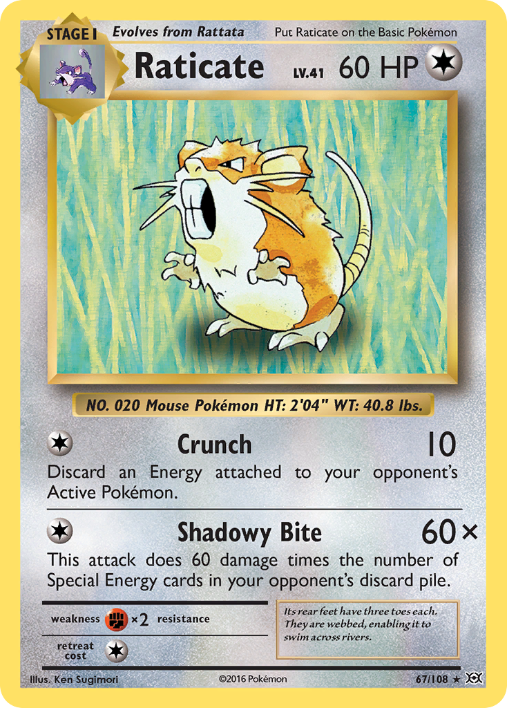 Raticate (67/108) [XY: Evolutions] - Destination Retro