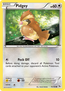 Pidgey (75/106) [XY: Flashfire] - Destination Retro