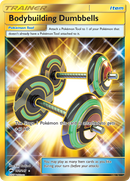 Bodybuilding Dumbbells (161/147) [Sun & Moon: Burning Shadows] - Destination Retro