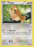Pidgey (29/30) [XY: Trainer Kit - Bisharp & Wigglytuff] - Destination Retro