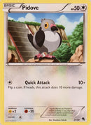 Pidove (21/30) [Black & White: Trainer Kit] - Destination Retro