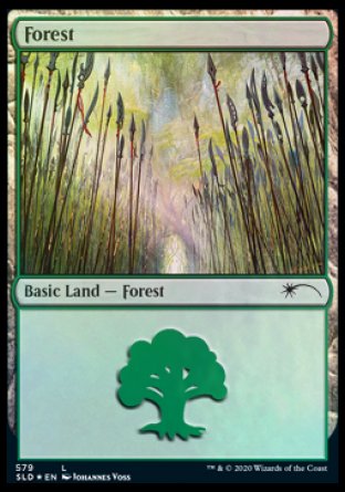 Forest (Elves) (579) [Secret Lair Drop Promos] - Destination Retro