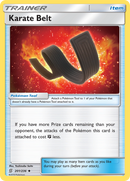 Karate Belt (201/236) [Sun & Moon: Unified Minds] - Destination Retro