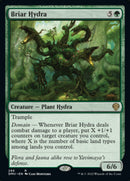 Briar Hydra [Dominaria United] - Destination Retro