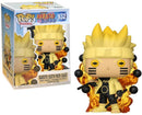 Naruto Uzumaki (Sixth Path Sage) (Naruto: Shippuden) - Destination Retro