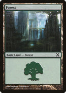Forest (383) [Tenth Edition] - Destination Retro