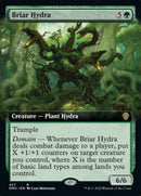 Briar Hydra (Extended Art) [Dominaria United] - Destination Retro