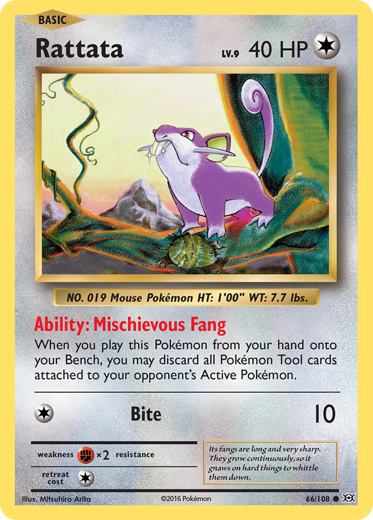 Rattata (66/108) [XY: Evolutions] - Destination Retro