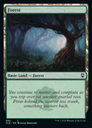 Forest (469) [Commander Legends: Battle for Baldur's Gate] - Destination Retro