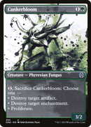 Cankerbloom (Showcase Ichor) [Phyrexia: All Will Be One] - Destination Retro