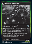 Infestation Expert // Infested Werewolf [Innistrad: Double Feature] - Destination Retro