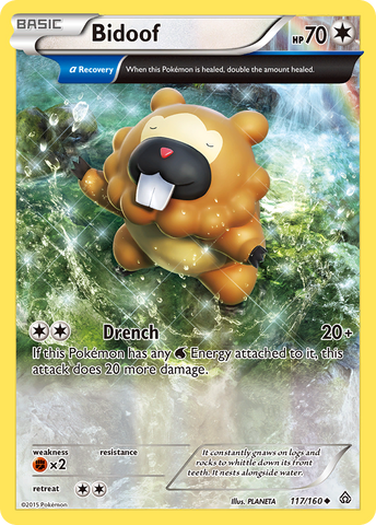 Bidoof (117/160) [XY: Primal Clash] - Destination Retro