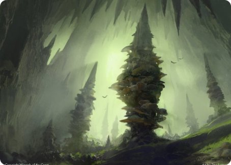 Forest (280) Art Card [Dungeons & Dragons: Adventures in the Forgotten Realms Art Series] - Destination Retro